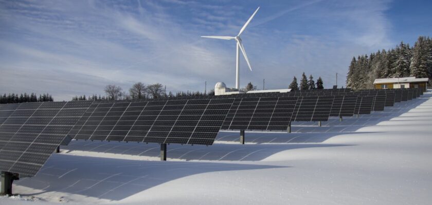 Les avantages insoupçonnés d'un assistant personnel pour votre projet de rénovation énergétique